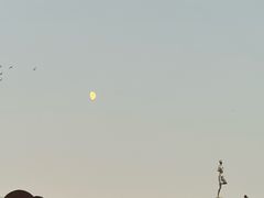 -莫子山公园
