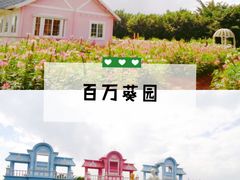 -百万葵园