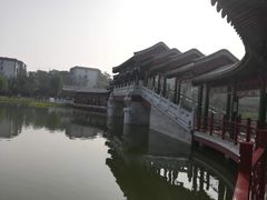 -西海子公园