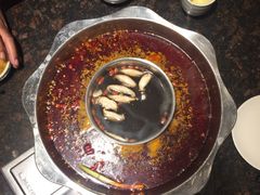 -小天鹅火锅·一线江景洪鼎旗舰店(洪崖洞店)