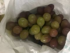 -马陆小张葡萄园农家乐