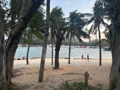 -蓝湾碧波·老字号·疍家非遗海上餐厅