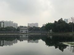 -荔湾湖公园