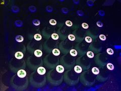 -温莎KTV(珠江路店)