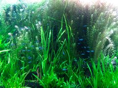 -上海海洋水族馆