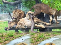 -外滩8号 whisky bar(金延大厦店)