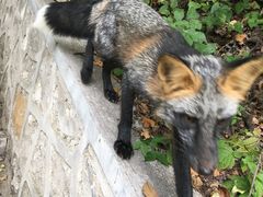 -九鼎铁刹山风景区