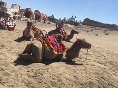 -镇北堡西部影城