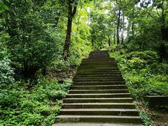 -雁荡山风景名胜区