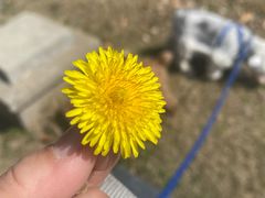 -涵家味土菜馆·徽州一绝臭鳜鱼(三河古镇店)