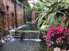 -呀路古热带植物园