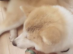 -YCHL Studios健身工作室(市二宫店)