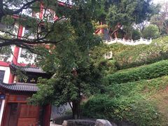 -鸿山公园