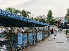 -长沙海底世界