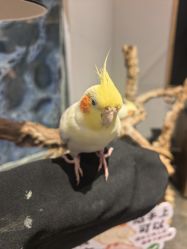 -Zoolung Zoolung动物主题公园(海信广场店)