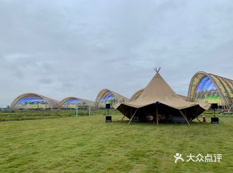 免费向日葵花海，新晋遛娃地，人少，速来