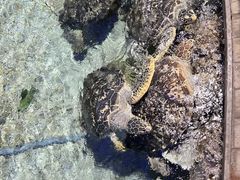 -福州罗源湾海洋世界旅游区