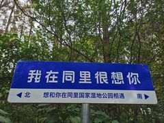 -同里国家湿地公园