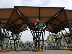 -上海长兴岛郊野公园