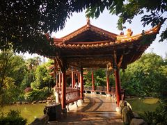 -洛龙公园