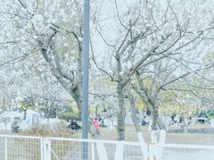 -国际非物质文化遗产博览园