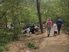 -白水寺森林公园