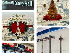 -中央广播电视塔