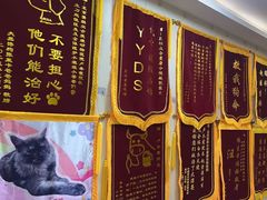 -美联众合爱康动物医院•复杂内科•肿瘤科•牙科•腔镜诊疗中心