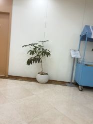 -上海伊莱美医疗美容医院