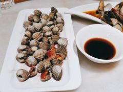 -华盛丰温州大排档(东三环南路店)