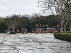 -野生动物园-停车场