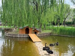 -西海子公园