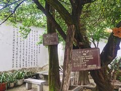 -苍山感通索道