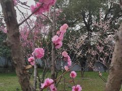 -无锡梅园公园