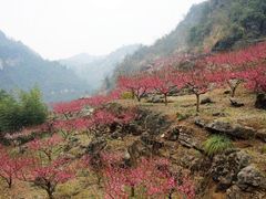 -无锡梅园公园