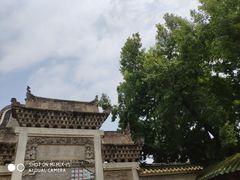 -无影脚佛山陈氏盲公丸始创店(飞鸿街店)