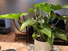 -鸽味轩·粤菜小馆(高楼门总店)