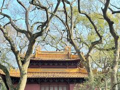 -普陀山风景名胜区-法雨禅寺