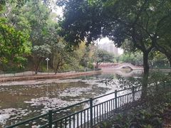 -深圳龙潭公园