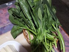 -仙蘑洞