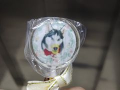 -Husky Go! 哈士奇体验馆·宠物咖啡厅狗咖