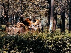 -秦皇岛野生动物园