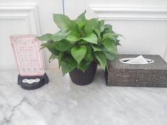 -花舍·新派粤菜·西餐·下午茶(亚运村·鸟巢店)