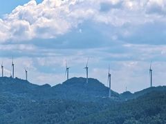 -武陵山森林公园