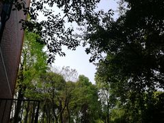-黄桷坪涂鸦艺术街