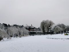 -长春市南湖公园