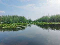 -白洋淀风景区