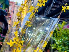 -循礼门鲜花花市(武汉循礼门店)