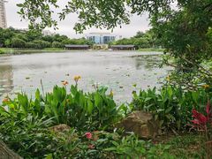 -映月湖公园