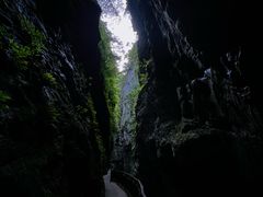 -武陵山森林公园
